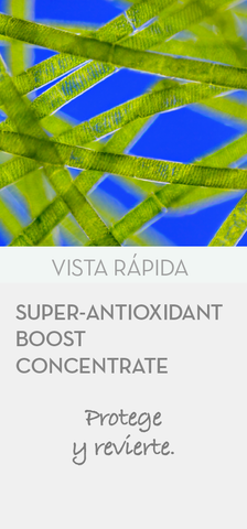 MD FUSION LAB ADDON - Super-Antioxidant Boost Concentrate